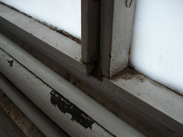 ブルノのトゥーゲントハット邸の画像14