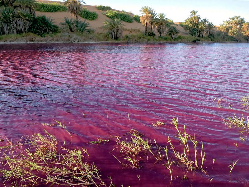 ウニアンガ湖沼群の画像1