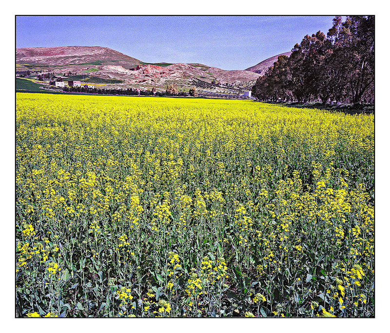 聖都ケルアンの画像6