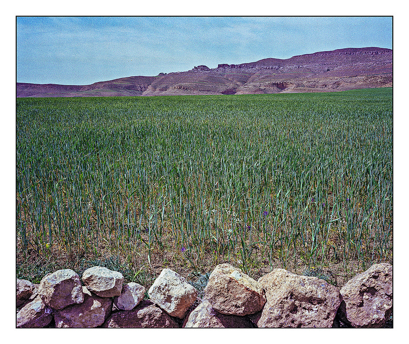 聖都ケルアンの画像7