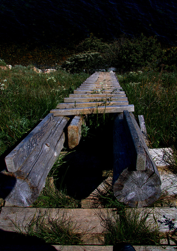 ステウンス・クリントの画像5