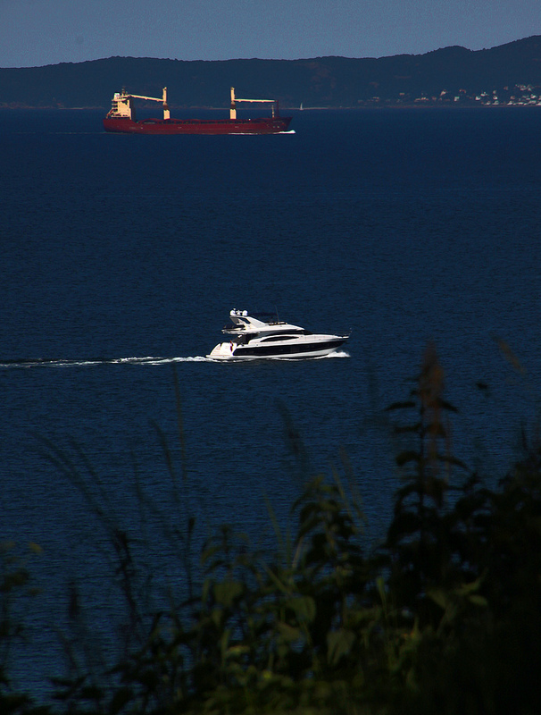 グリブスコウの画像4