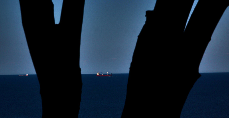 グリブスコウの画像5