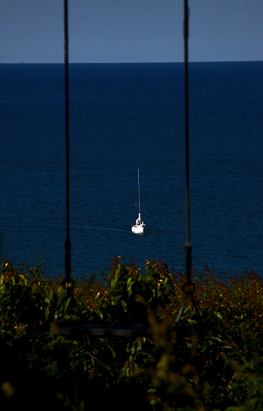 グリブスコウの画像6