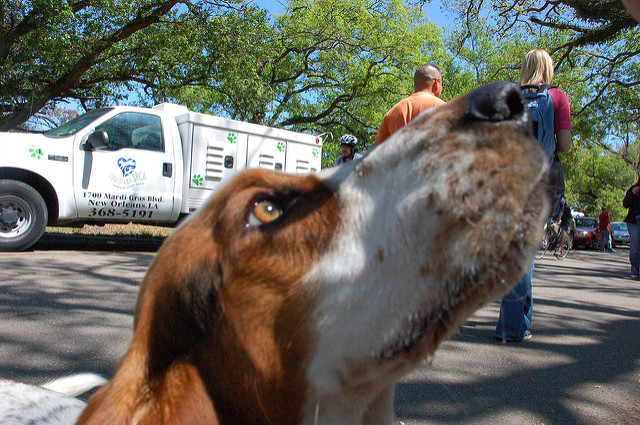 ヴュルツブルクの司教館と庭園群の画像17