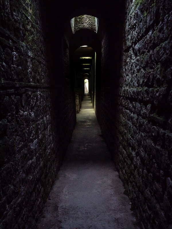 トリーアのローマ遺跡群、聖ペテロ大聖堂及び聖母マリア教会の画像25