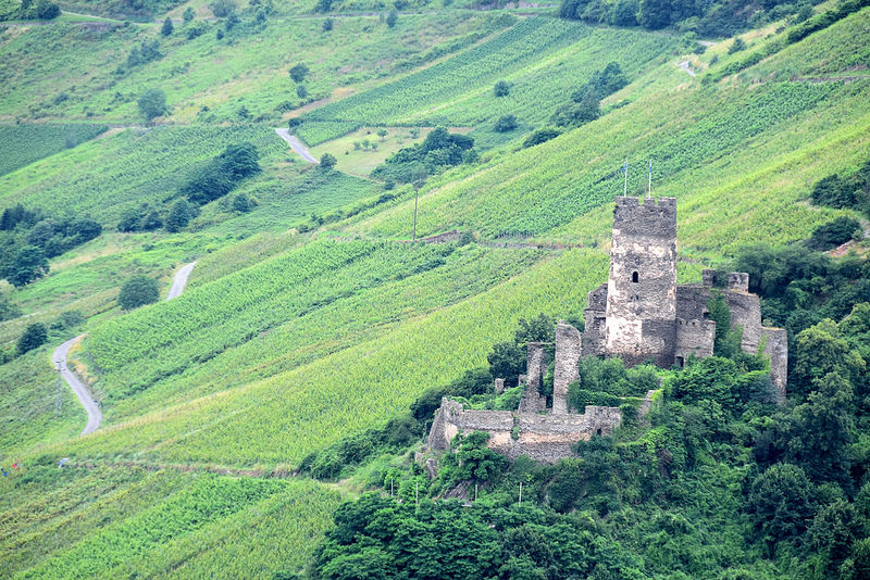 ライン渓谷中流上部の画像4