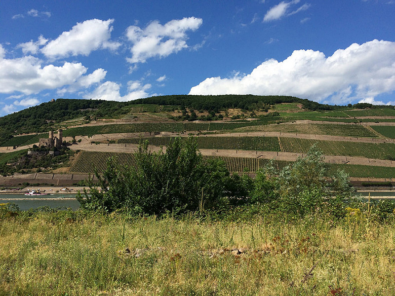 ライン渓谷中流上部の画像11