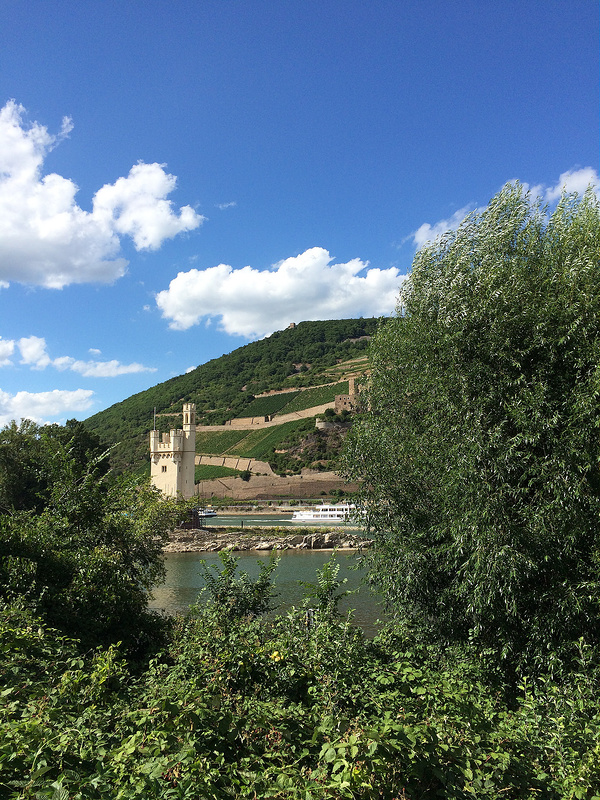 ライン渓谷中流上部の画像14