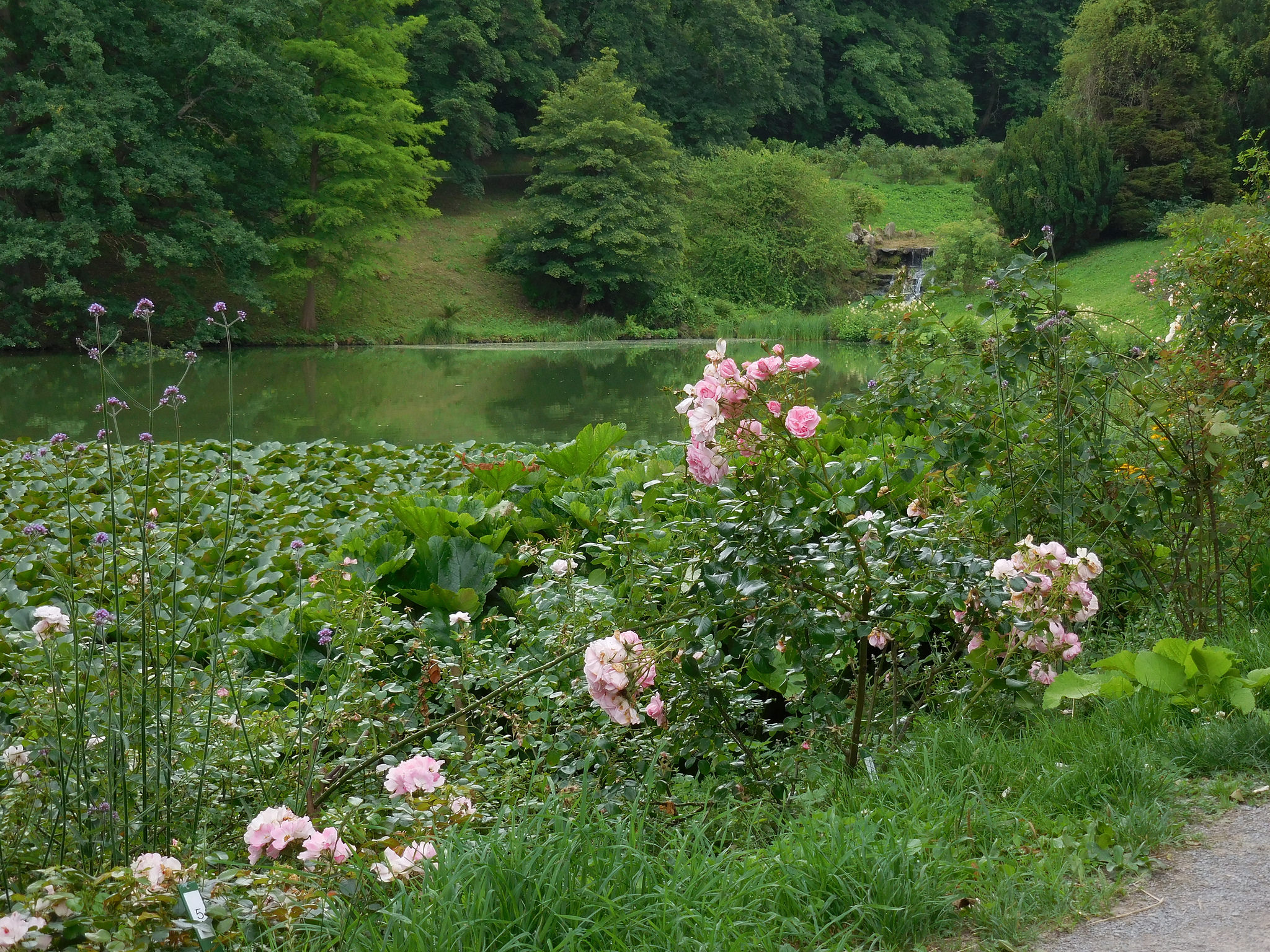 ヴェルヘルムスヘーエ城公園の画像20