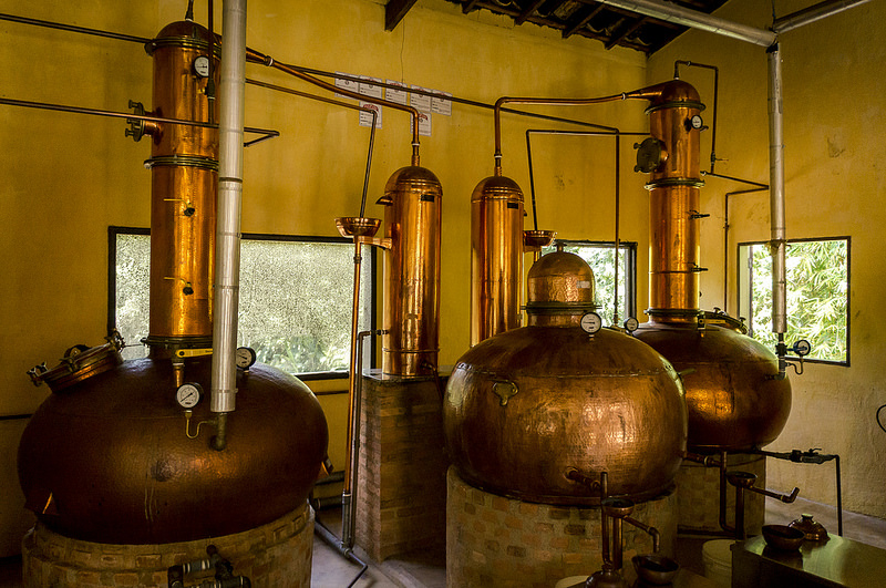 サント・ドミンゴ植民都市の画像23