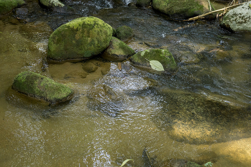 サント・ドミンゴ植民都市の画像27