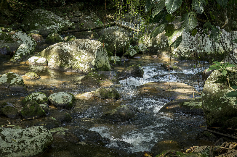 サント・ドミンゴ植民都市の画像28