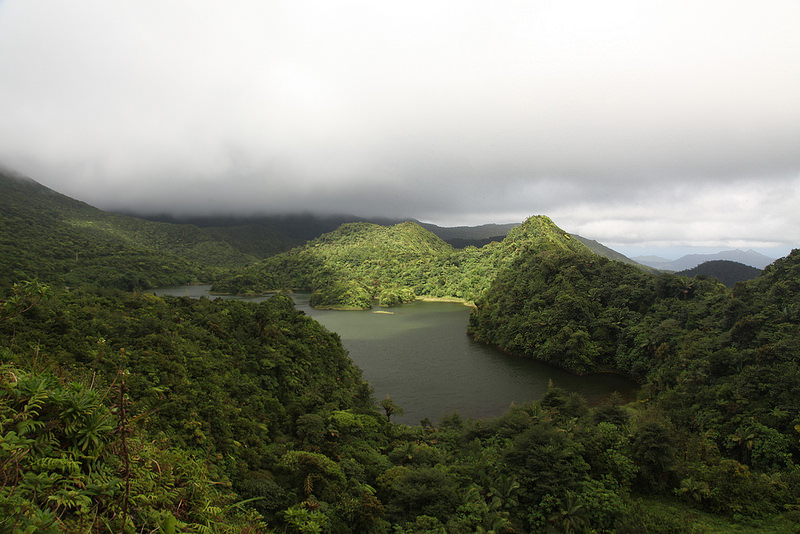 モルヌ・トロワ・ピトン国立公園の画像8