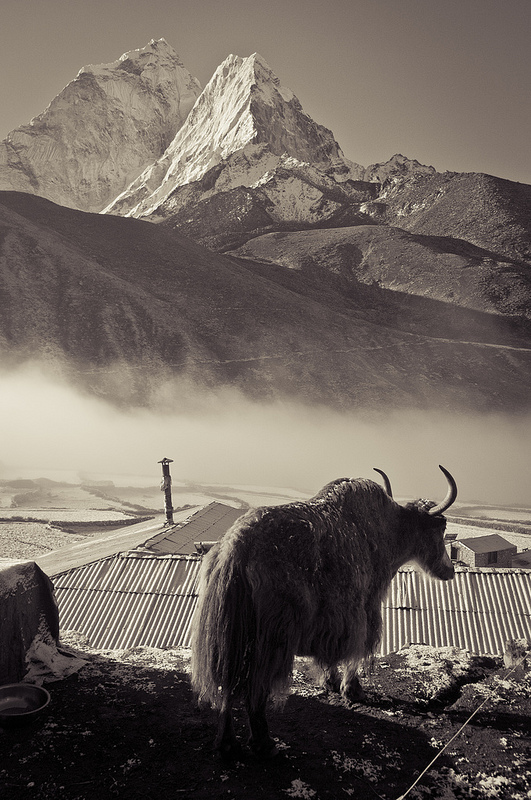 サガルマータ国立公園の画像3
