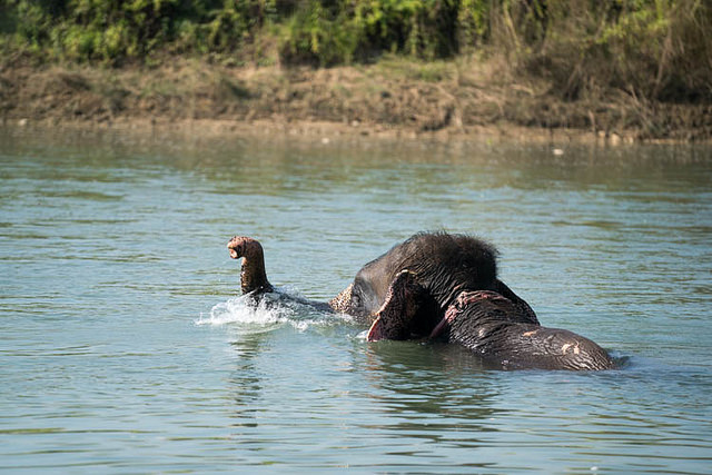 チトワン国立公園の画像15
