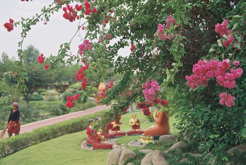 仏陀の生誕地ルンビニの画像7