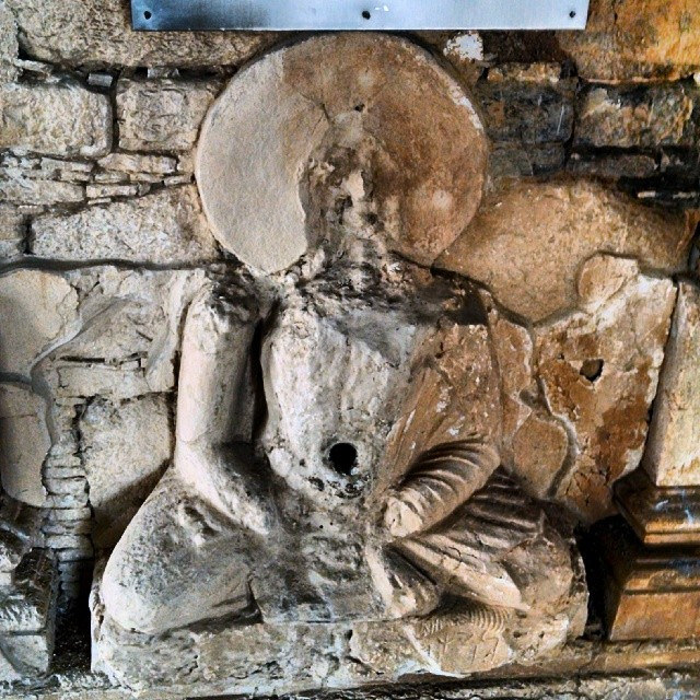 タキシラの画像11