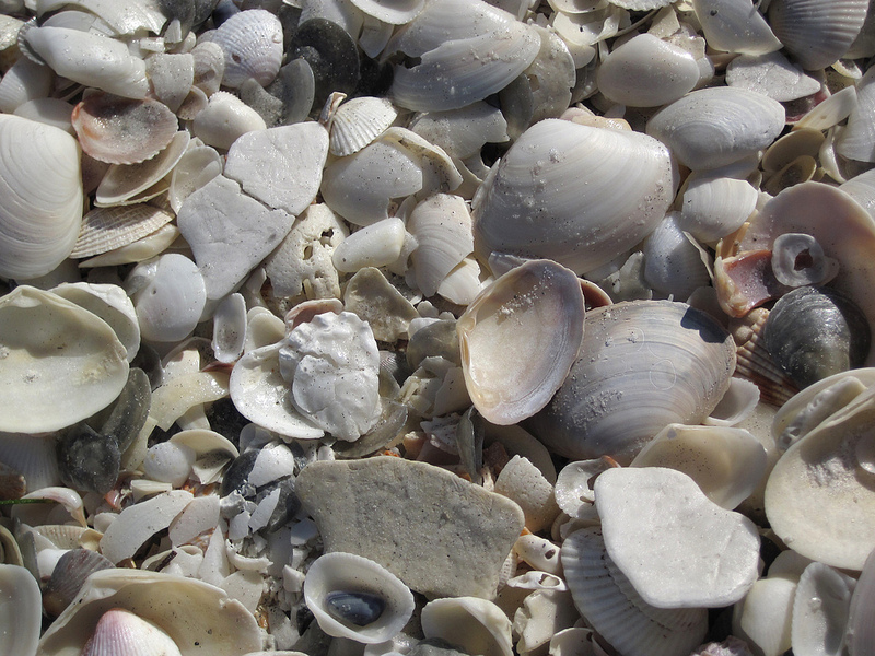 ロック・アイランドと南部ラグーンの画像4