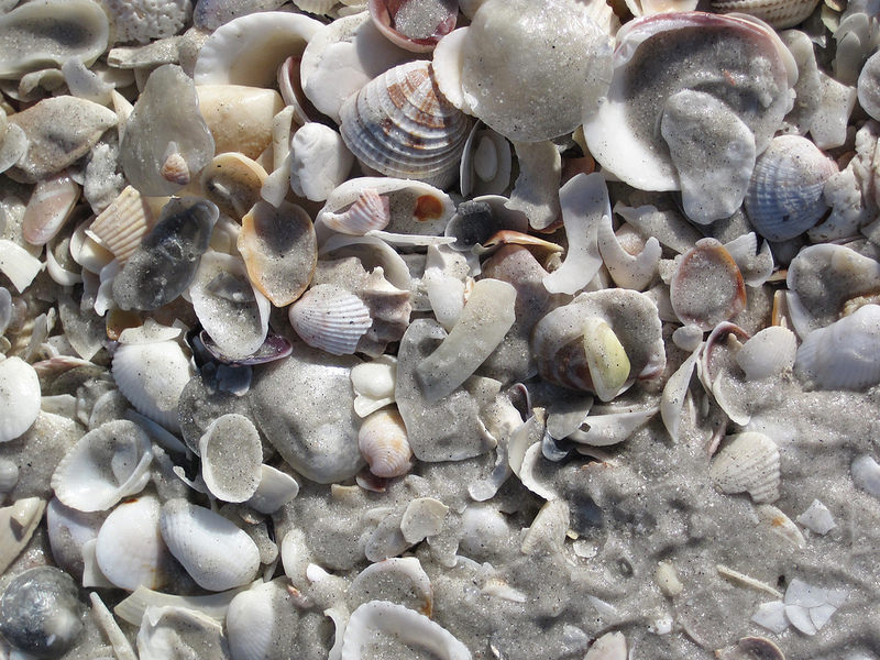 ロック・アイランドと南部ラグーンの画像5