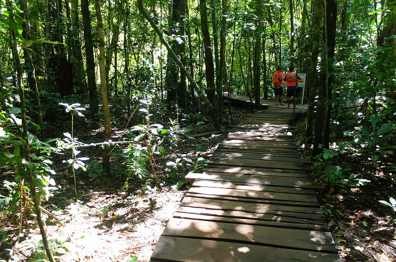 プエルト・プリンセサ地下河川国立公園の画像14