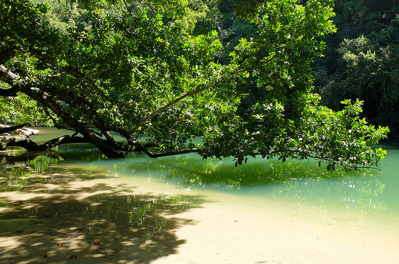 プエルト・プリンセサ地下河川国立公園の画像16