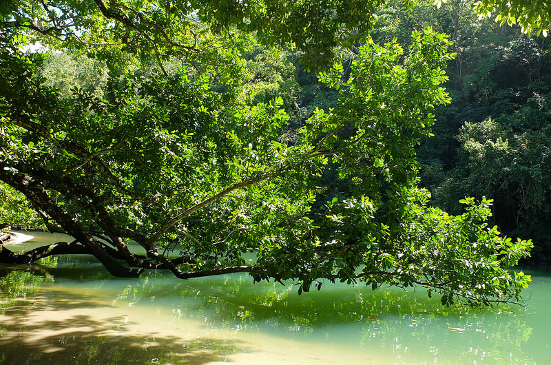 プエルト・プリンセサ地下河川国立公園の画像17
