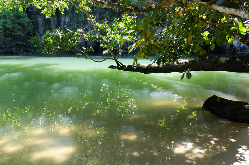 プエルト・プリンセサ地下河川国立公園の画像18