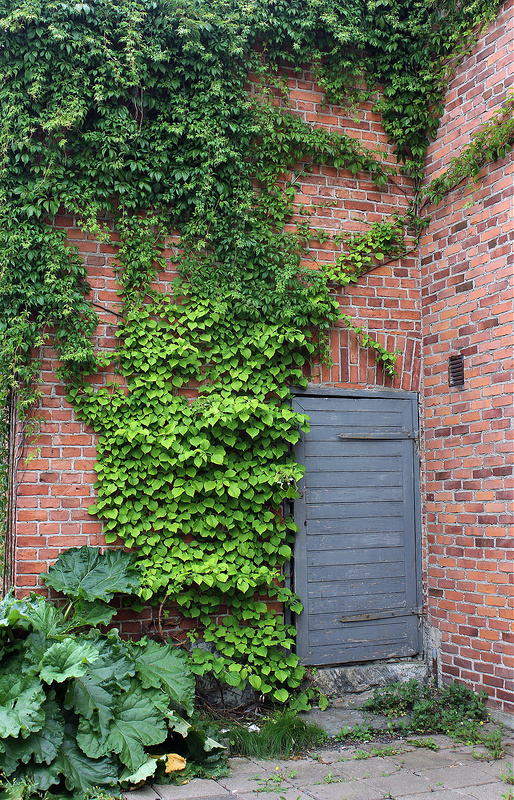 ラウマ旧市街の画像8