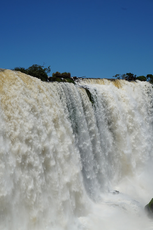 イグアス国立公園の画像20