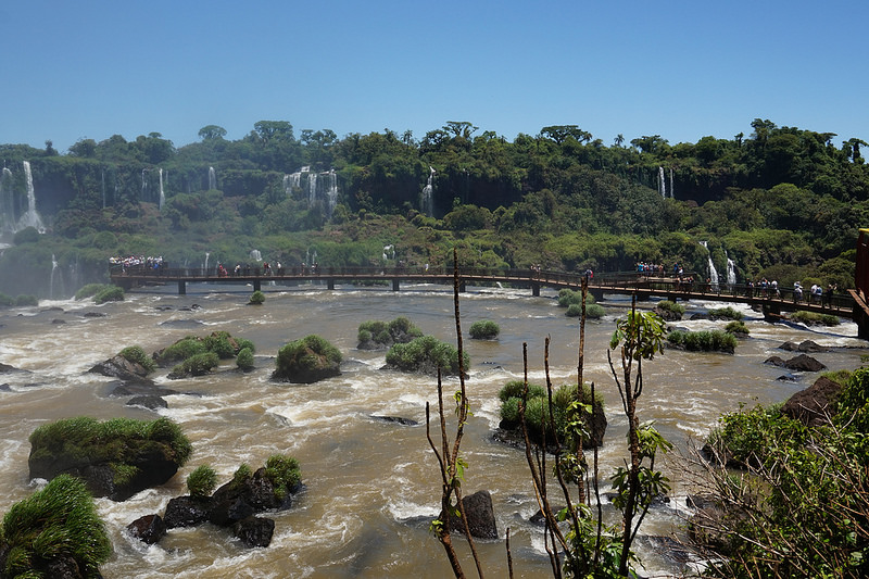 イグアス国立公園の画像27