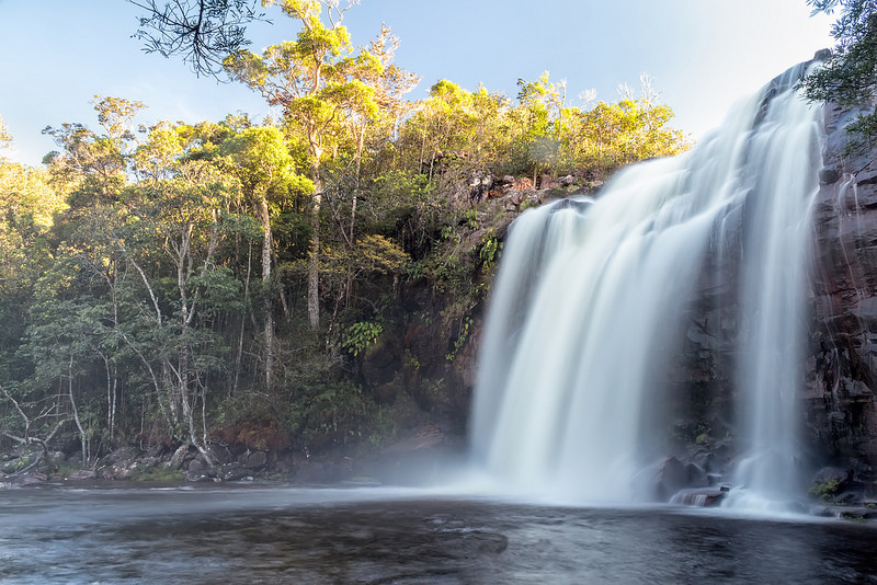 カナイマ国立公園の画像4