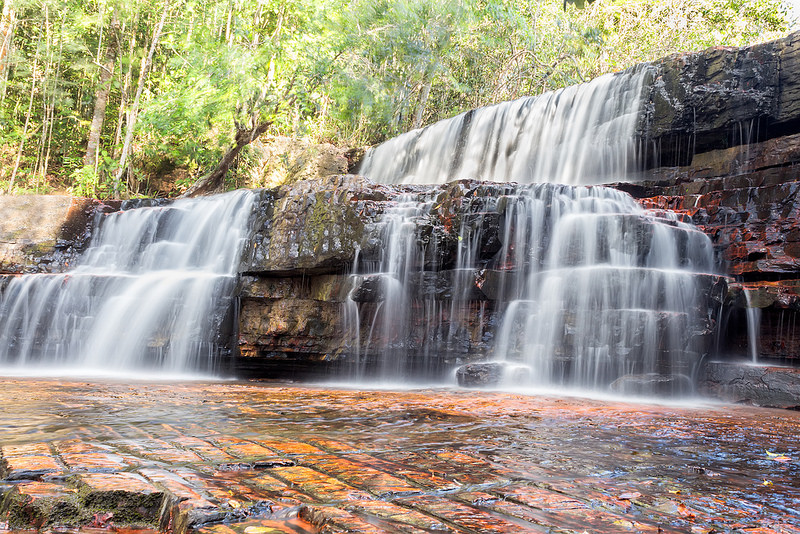 カナイマ国立公園の画像10