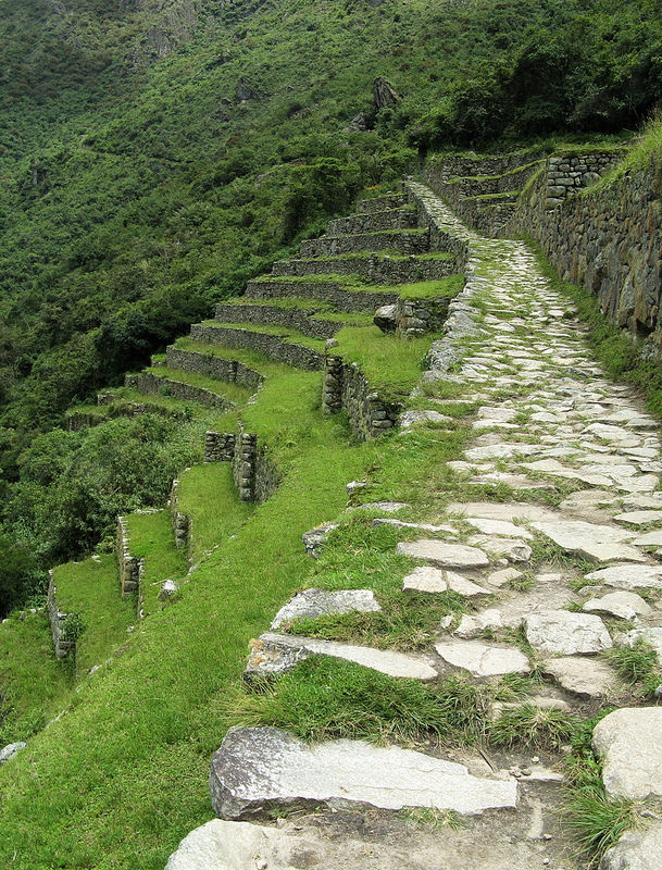 マチュ・ピチュの歴史保護区の画像24