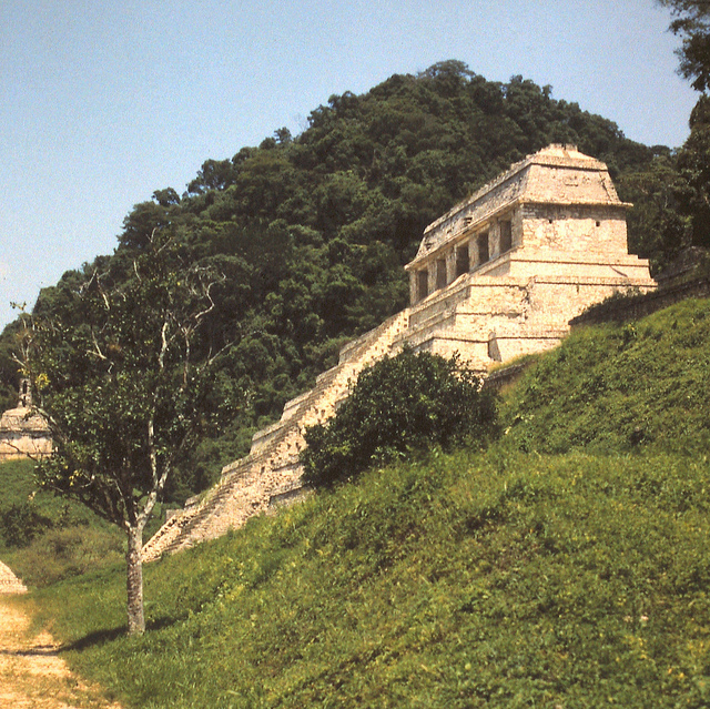 コパンのマヤ遺跡の画像12