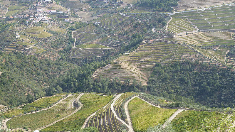 アルト・ドウロ・ワイン生産地域の画像1