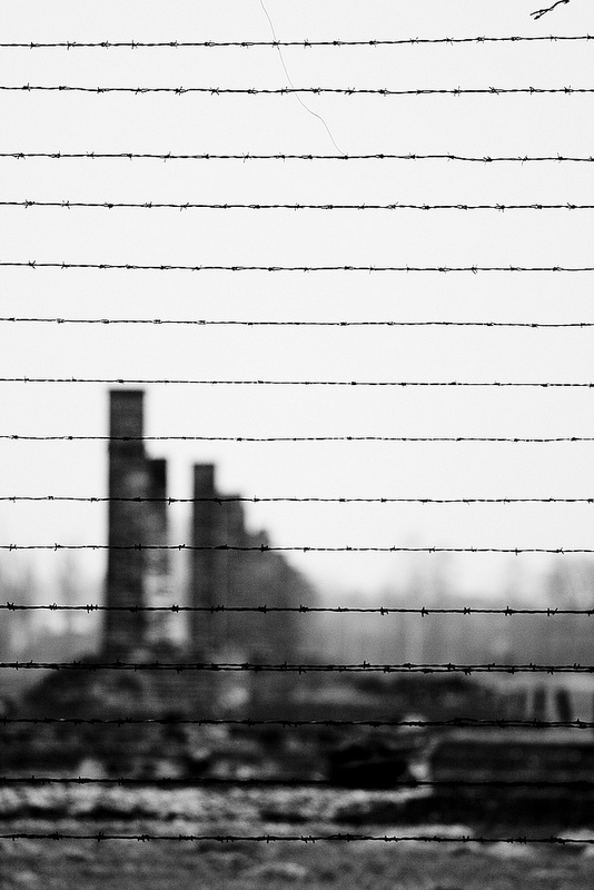 アウシュヴィッツ・ビルケナウ　ナチスドイツの強制絶滅収容所（1940-1945）の画像2