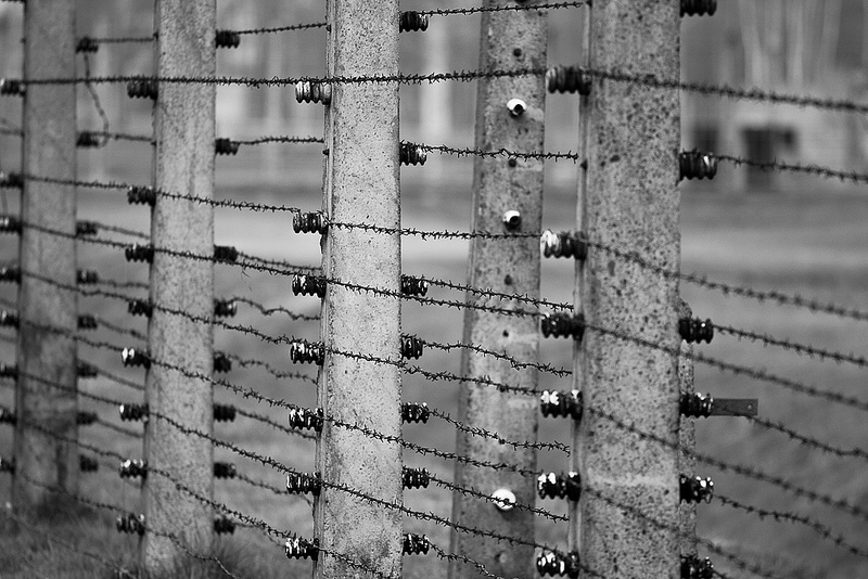 アウシュヴィッツ・ビルケナウ　ナチスドイツの強制絶滅収容所（1940-1945）の画像3