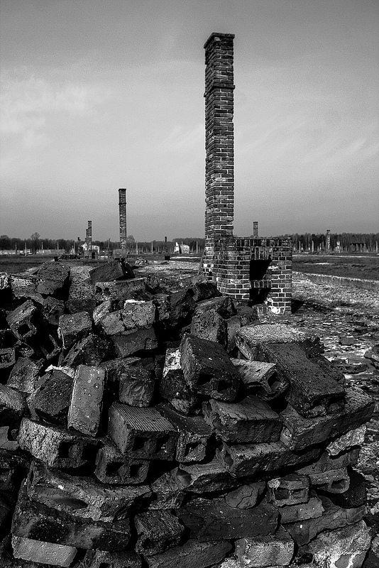 アウシュヴィッツ・ビルケナウ　ナチスドイツの強制絶滅収容所（1940-1945）の画像10