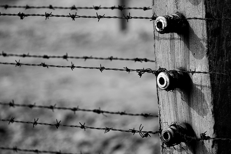 アウシュヴィッツ・ビルケナウ　ナチスドイツの強制絶滅収容所（1940-1945）の画像13