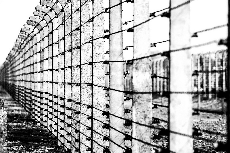 アウシュヴィッツ・ビルケナウ　ナチスドイツの強制絶滅収容所（1940-1945）の画像16