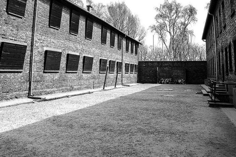 アウシュヴィッツ・ビルケナウ　ナチスドイツの強制絶滅収容所（1940-1945）の画像24