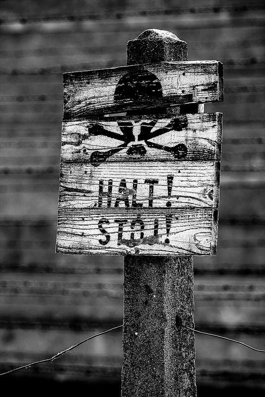 アウシュヴィッツ・ビルケナウ　ナチスドイツの強制絶滅収容所（1940-1945）の画像25