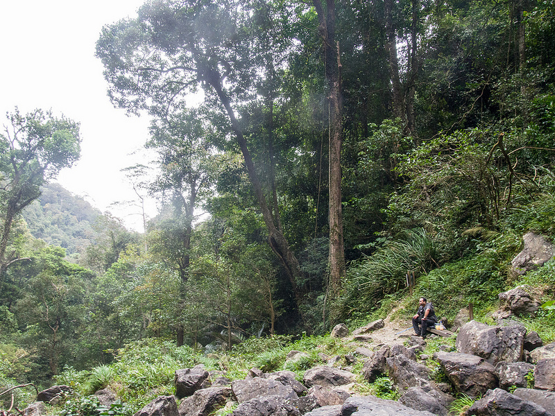 キナバル自然公園の画像13
