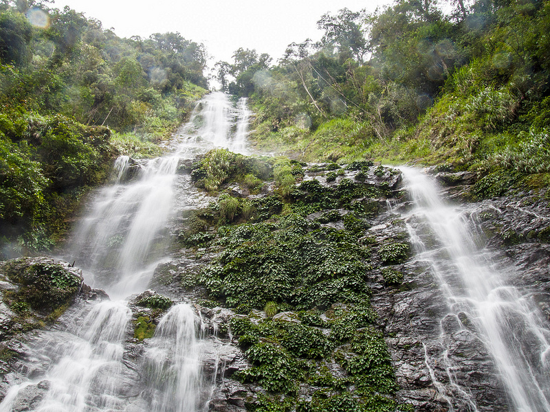 キナバル自然公園の画像14