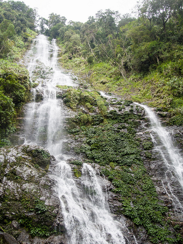 キナバル自然公園の画像15
