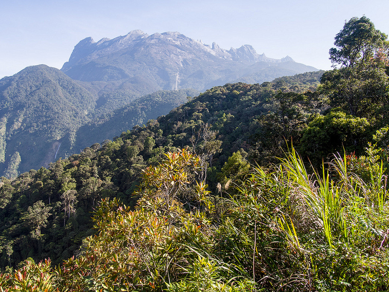 キナバル自然公園の画像2