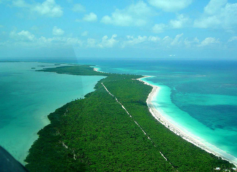 シアン・カアンの画像1