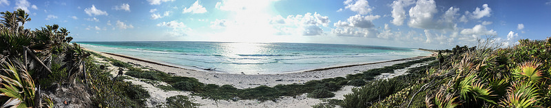 シアン・カアンの画像3