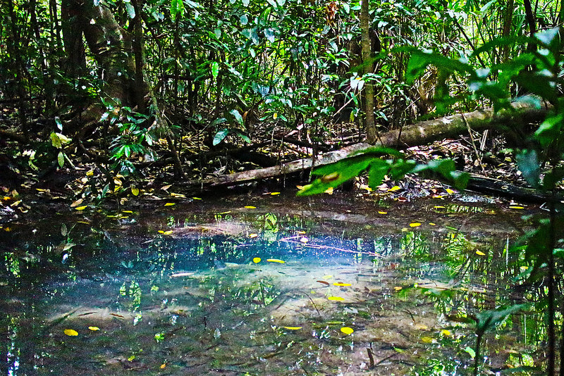 シアン・カアンの画像4